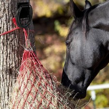 Cavallo, Finimenti per Cavalli, Legatura per Cavalli, Ferri di Cavallo,