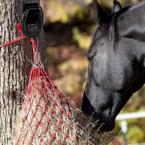 Cavallo finimenti per - cavallo,,