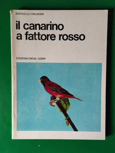 Canarino fattore rosso - canarino,
