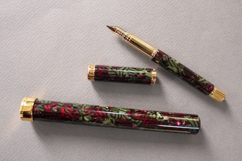Penna stilografica waterman - stilografica,