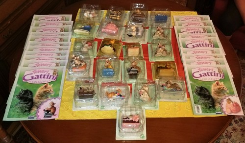 Teneri gattini collezione - teneri,
