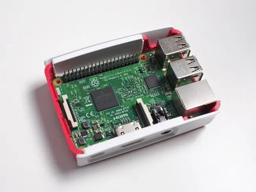 Raspberry model plus - raspberry, +