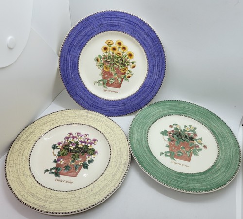 Wedgwood sarah garden - wedgwood, sarah's
