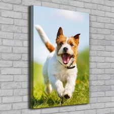 Tulup Dipinto Su Tela Pittura Su Un Muro 70x100cm - Jack Russell Cane