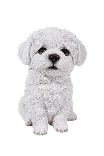 Line gift ltd pet - hi-line,