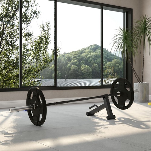 Olympic 210 curl bar - curl,