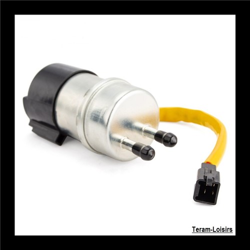 Pompe essence filtre pour - +,