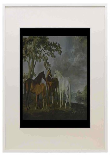 402038 mares puledri - e, un