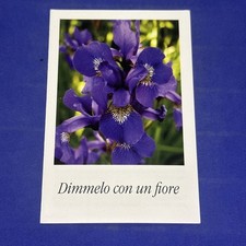 APOSTOLATO MARIANO GESU' MARIA