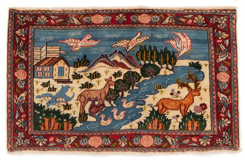 Kashan 54x80 tappeto - kashan,