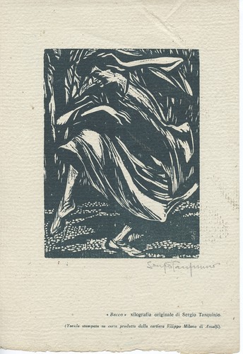 Sergio tarquinio bacco - sergio,