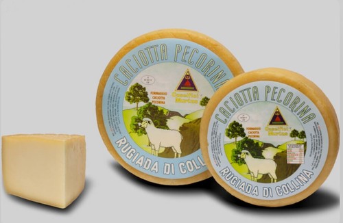 Formaggio pecorino sardo - -,