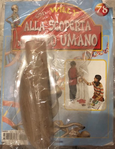 Alla scoperta del corpo umano