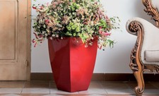 VASI VASO in SUPER RESINA