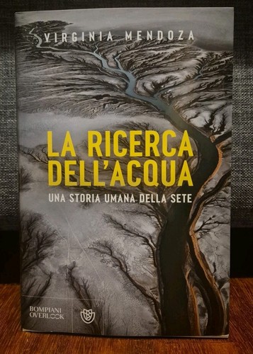 Mendoza ricerca dell acqua - mendoza, la