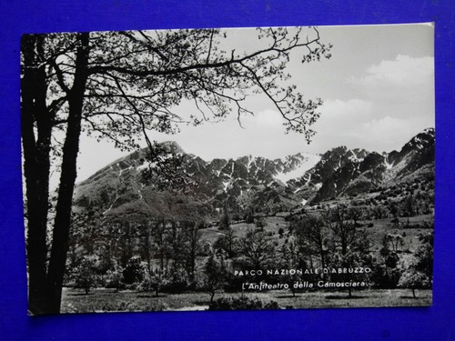 Cartolina foto parco - 🔵cartolina,