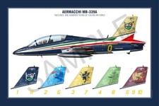 Aermacchi MB-339A Squadron Print - Poster 30x45 "Frecce Tricolori" 100 anni IAF