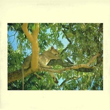 Luca Cersosimo, Massimo