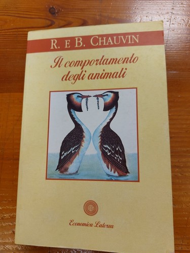 Comportamento degli - il,