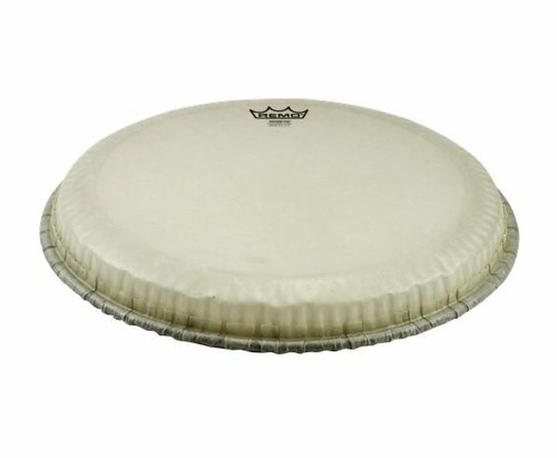 Remo pelle djembe - , 14