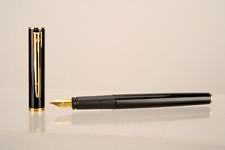 Waterman Penna A Inchiostro