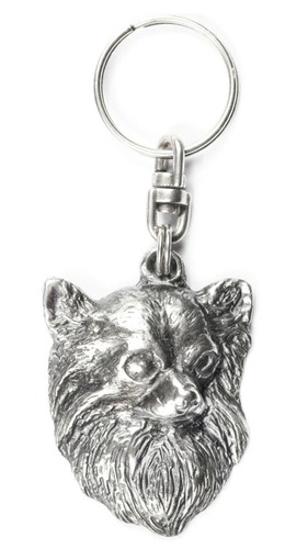 Chihuahua longhair argento - -,