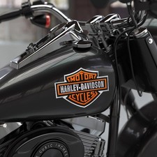 2 pezzi nuovi per Harley
