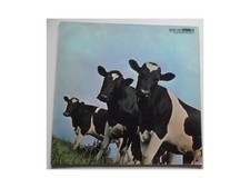 Pink floyd atom - pink,