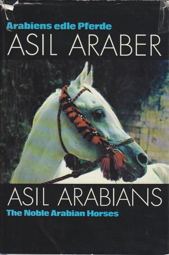 Asil araber arabiens edle - asil-araber,
