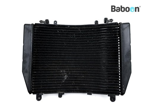 Radiatore agusta brutale - radiatore,