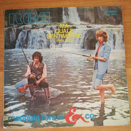 Fiorella mannoia quale - fiorella,
