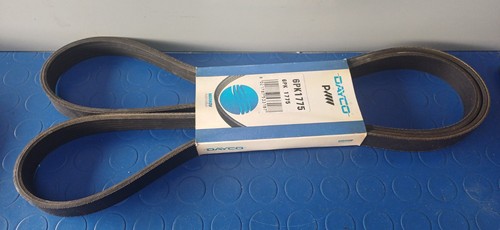 Cinghia servizi per fiat - servizi,