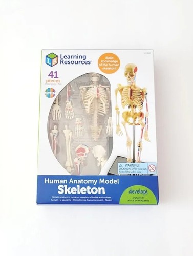 Learning resources scheletro - learning,