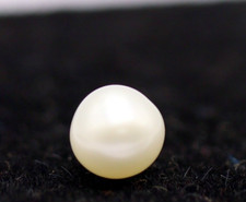 Forma rotonda sfusa vera