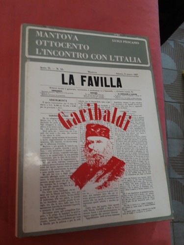Libro mantova ottocento - libro,