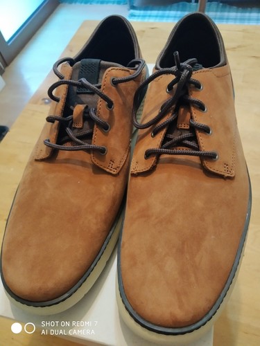 Scarpe timberland uomo - scarpe, 43