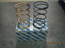 MOLLE DI CONTRASTO IN KIT POLINI EVOLUTION SCOOTER 50 APRILIA-MALAGUTI-PIAGGIO-