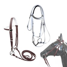 Briglia per cavalli con