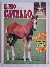 il mio cavallo 21 milton