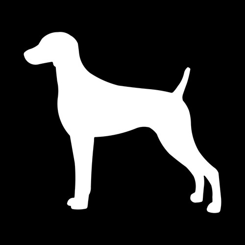 Adesivo weimaraner vinile - adesivo,