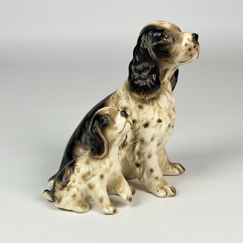 Statuina cane springer spaniel - cane,
