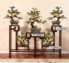 Bonsai di Giada Feng Shui