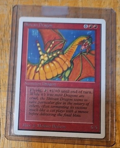 Magic the gathering mtg - the,