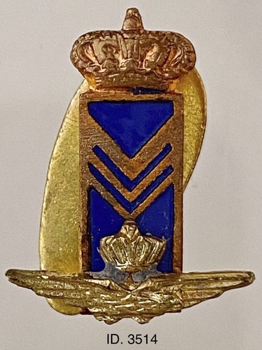 Regia aeronautica distintivo - regia,