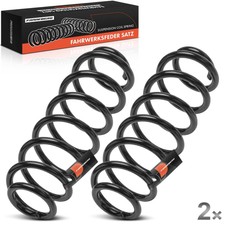 2x Molle Molla Posteriore L+R