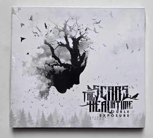 The scars heal time - scars,