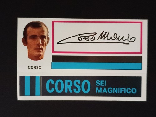 Figurina calciatori panini - figurina,