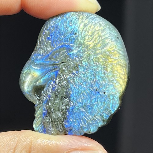 Top teschio aquila - , labradorite