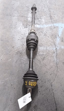 51771729 Semialbero ant