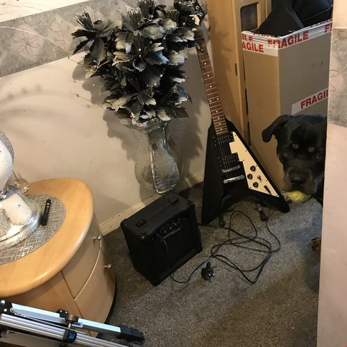 Stagg volo amplificatore v - stagg.,